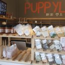 퍼피랜드애견카페 이미지