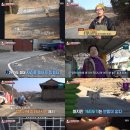 동물농장 이미지