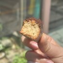 평화마을 | [전주 평화와평화] 한옥마을 근처 휘낭시에 맛집 포장 후기