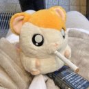 해피그래스 이미지