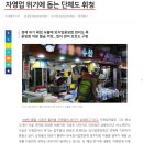 명보전자 | 리뷰 노트, 블덱스체험단 어디가 더 효과 있을까?