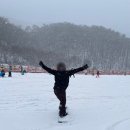 홍천 비발디파크 스키장 소노캄 스위트 숙소 후기, 주차, 리프트권, 스키복과 장비 렌탈, 카드사 할인 정보