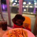 뉴욕애견 | 합정 애견동반 식당 뉴욕아파트먼트 블루리본 수제버거 맛집에서 내돈내산 버거만 빼고 먹은 후기