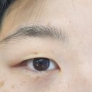 더골든네일 | [경기 화성] 병점 속눈썹 : 눈썹짱&amp;네일아트에서 속눈썹 연장 후기