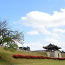 수원-1000 이미지