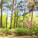 옥구2교 이미지