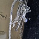 구구스크린골프 이미지