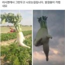 무대리 네이버블로그