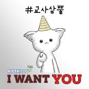 요가현혁신도