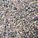 부여농장 이미지