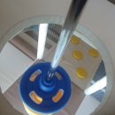 포키즈풀빌라B 이미지