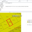 신사동-13 네이버블로그