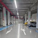 어도 | 출산후 탈모관리 후기 대구 정수리 SMP 전문 어도트스칼프