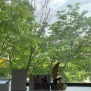 커스텀PT 이미지