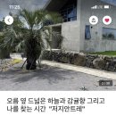 저지안트레