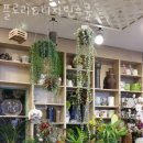 플로라 & 디자인스쿨 이미지