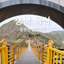 금산 월영산출렁다리 후기 ㅣ 인공폭포까지 걸어본 실제코스