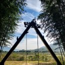 섬진강대나무숲길 이미지