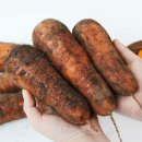 팔도농장 이미지