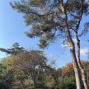24.11.16~24.11.17 화순 숲속의 베리팜