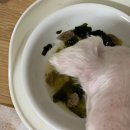 펫홈종합동물병원 이미지