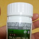 관덕정약국 이미지