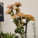 오,선데이(Oh,Sunday) 이미지