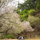 서울둘레길걷기8-1코스(구파발역-불광역간 6.7Km) 이미지