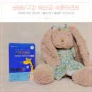 어린이 비염/콧물 면역&amp;코&amp;구강 관리 포헬라 키즈 유산균