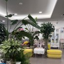 강남에스터산부인과의원 이미지