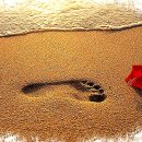 발자국 이미지