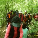 새터신풍 이미지