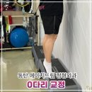 지지에이치드림