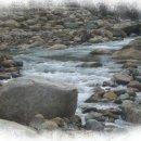 고목가든펜션 이미지