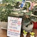 샤브향 연산점 이미지