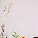 부곡유황온천(원탕) 이미지