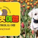 여기펫 이미지