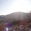 구르믈목장 Daum카페