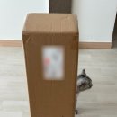 아토주 파우제 고양이 수직 스크래쳐 내돈내산 솔직후기