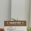 광주강아지분양 마마스미독 24시 광주봉선점 이미지