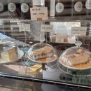 라소(laso) 이미지