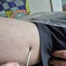 허브자연