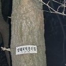 솔밭가든 이미지