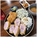 양천돈까스 | 양천향교역맛집 점심으로 찾은 바삭한 양천향교 돈까스 맛집 든든한 점심 후기