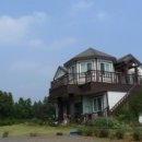 게스트하우스 정글 민박 이미지