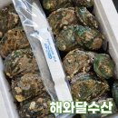해와달 수산