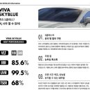스카이블루디테일링