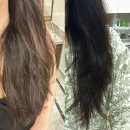 쇼킹 | 예감마켓 극손상모 복구 홈케어 쇼킹클리닉 후기