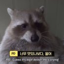 연구1동새마을회관 | 긴긴 추석연휴, 진짜 놀아버린 수험생이 있다?!
