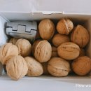 아주조은농장
